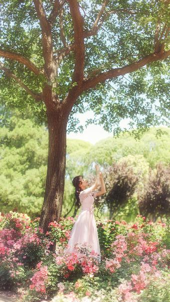 三分野电视剧免费观看完整版高清